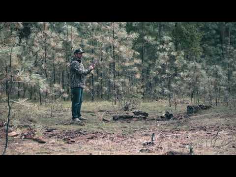 King Pin Box Call- Purpleheart over Sapele