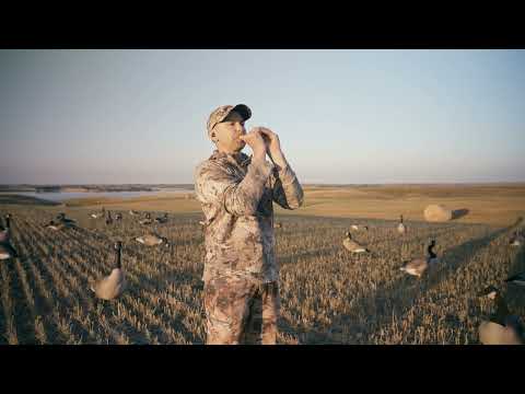 Nick Johnson Signature Series 4.6- TAN